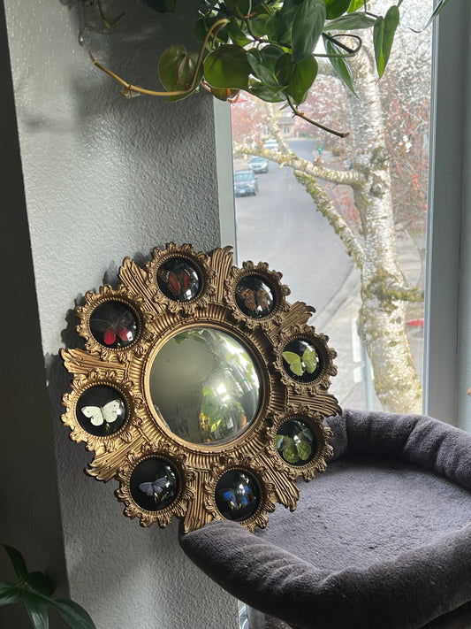 Rainbow Butterfly Mirror Frame
