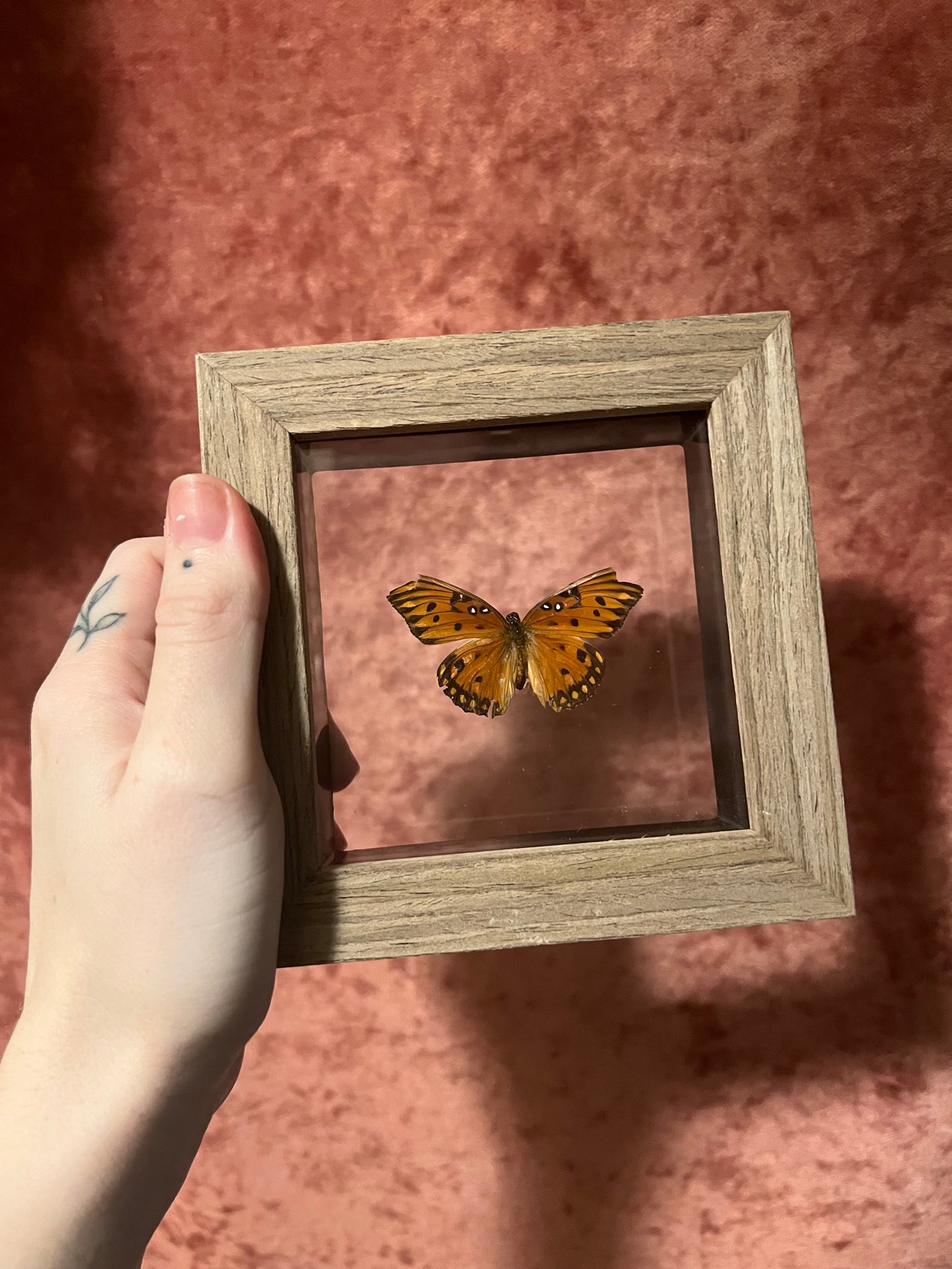 Glass Backed Natural Deaths 4x4