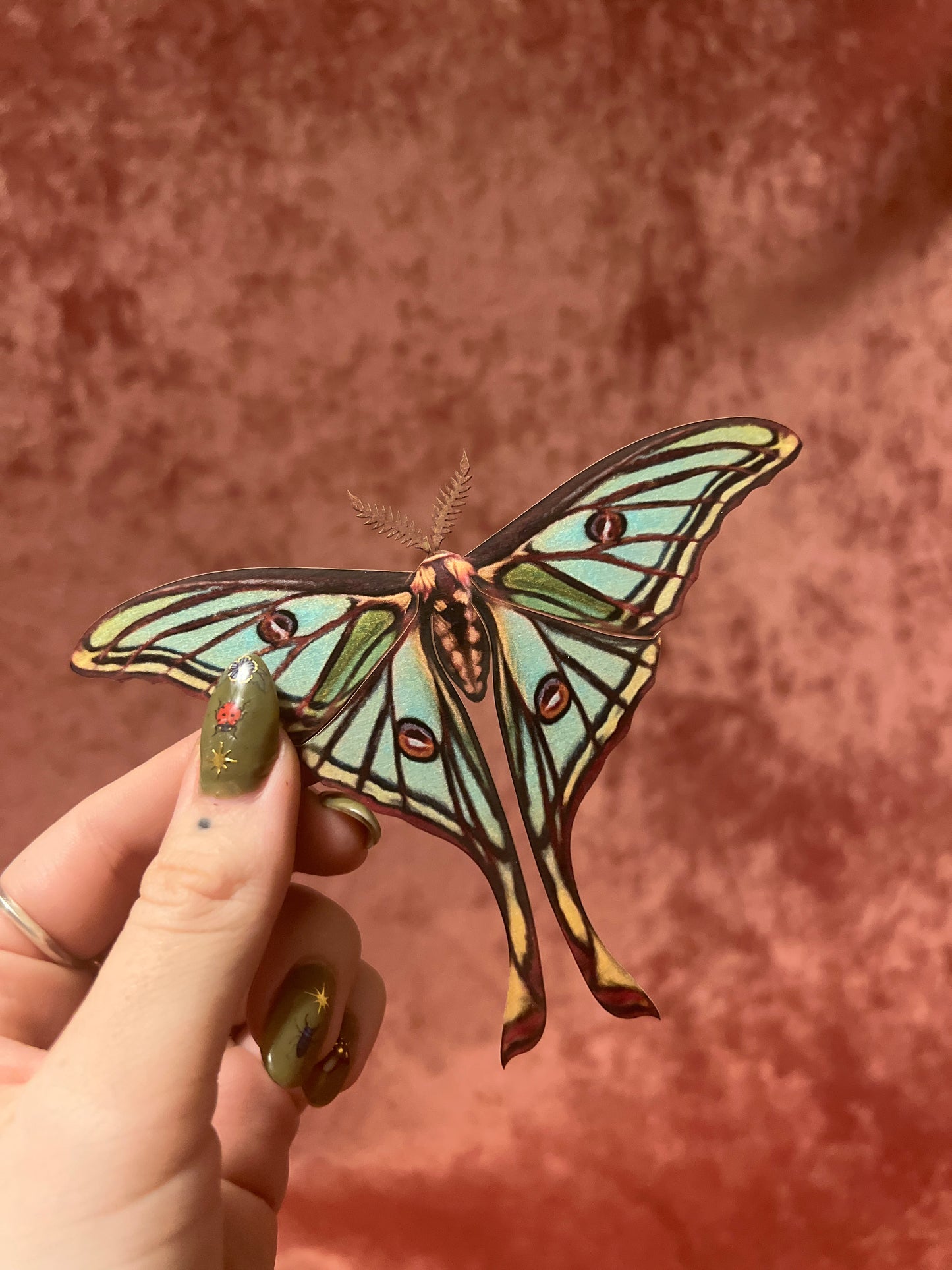 Spanish Luna Moth M&M Paper Specimen