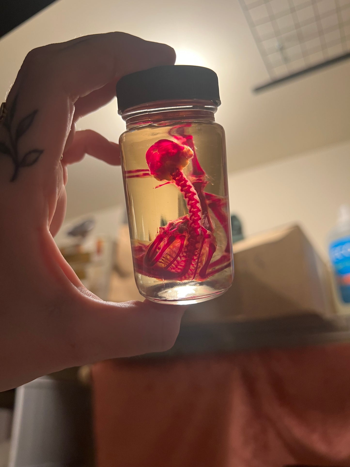 Diaphonized Specimens (B GRADE)