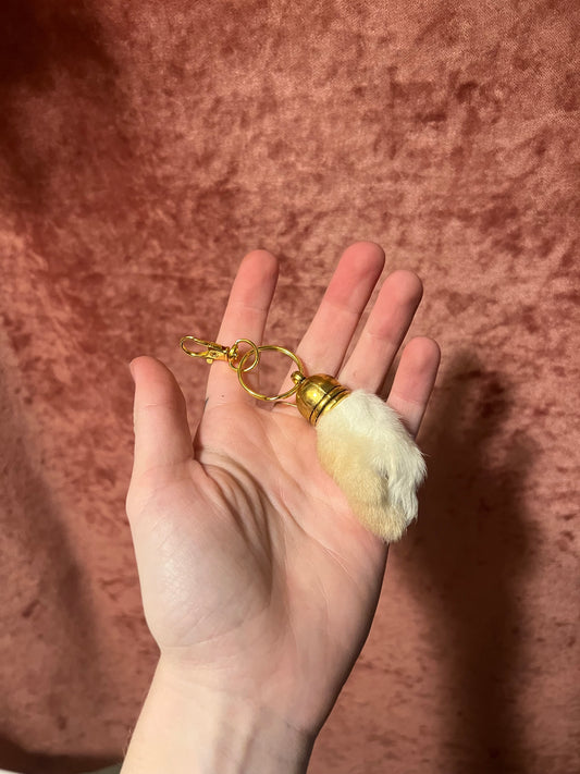 Rabbit Paw Keychain/Pursechain with gold colored hardware