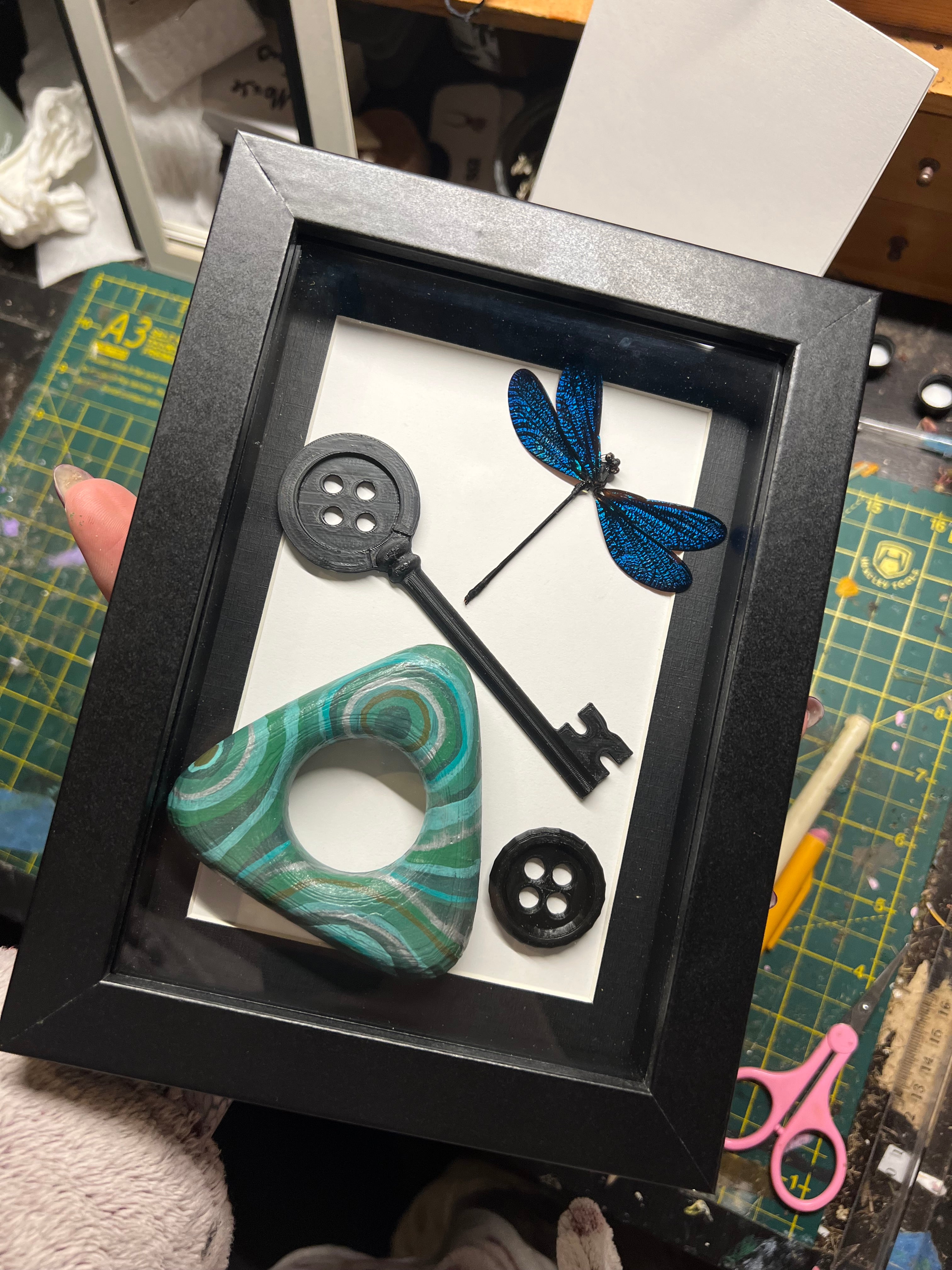 Framed Insects – Wildflower Oddities