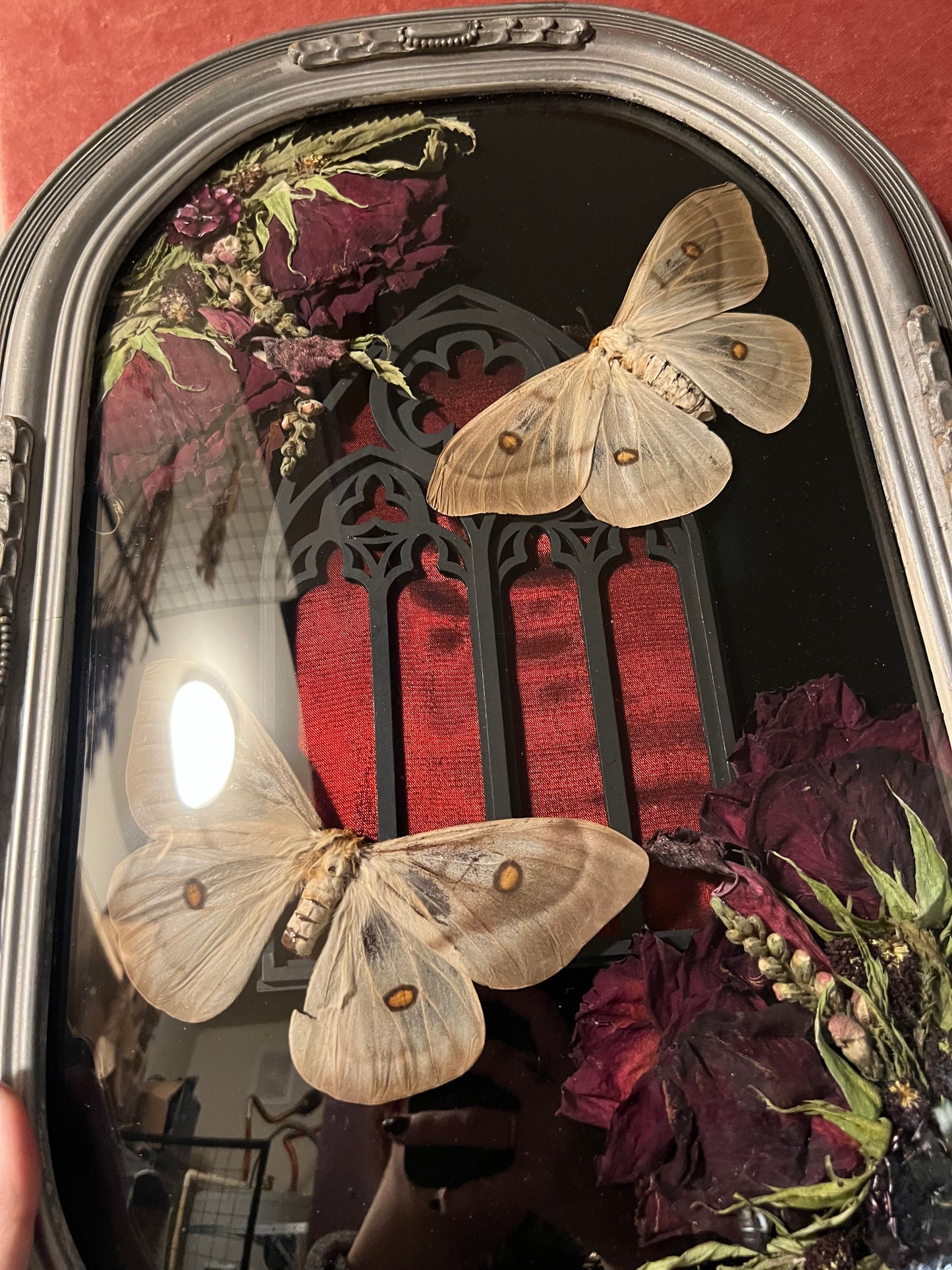 Ghostly Moth Cathedral Antique Frame