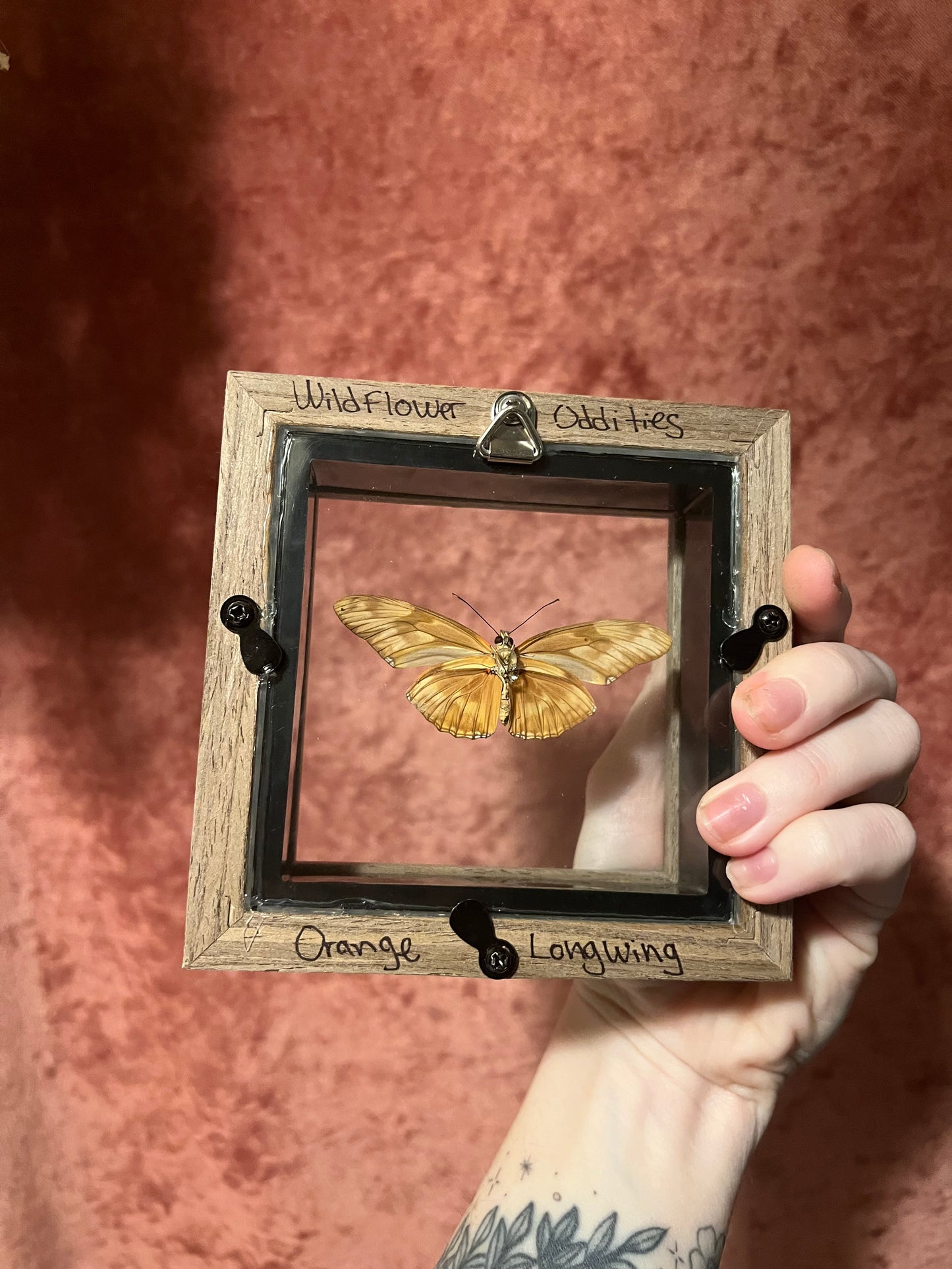 Glass Backed Natural Deaths 4x4