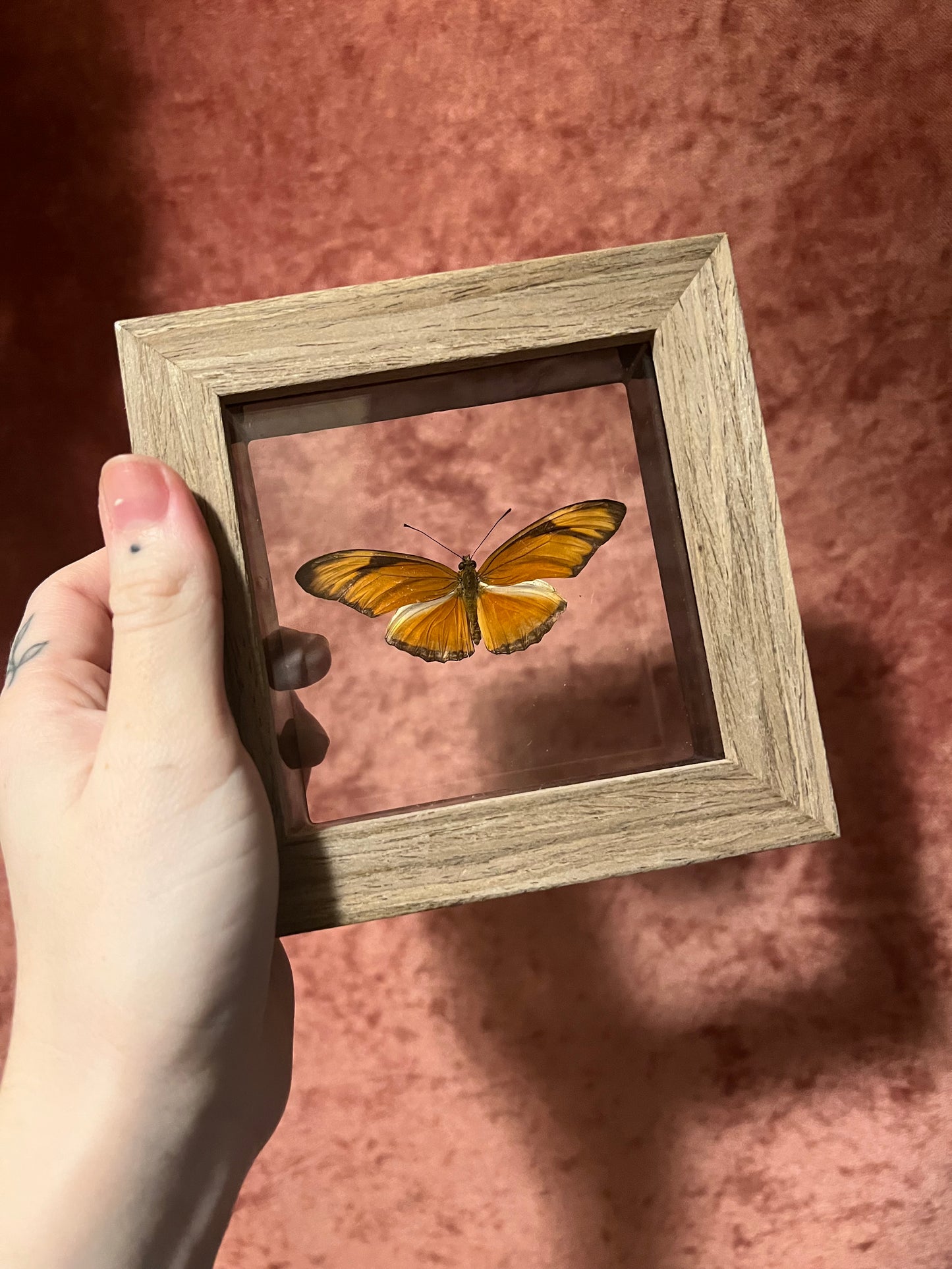 Glass Backed Natural Deaths 4x4