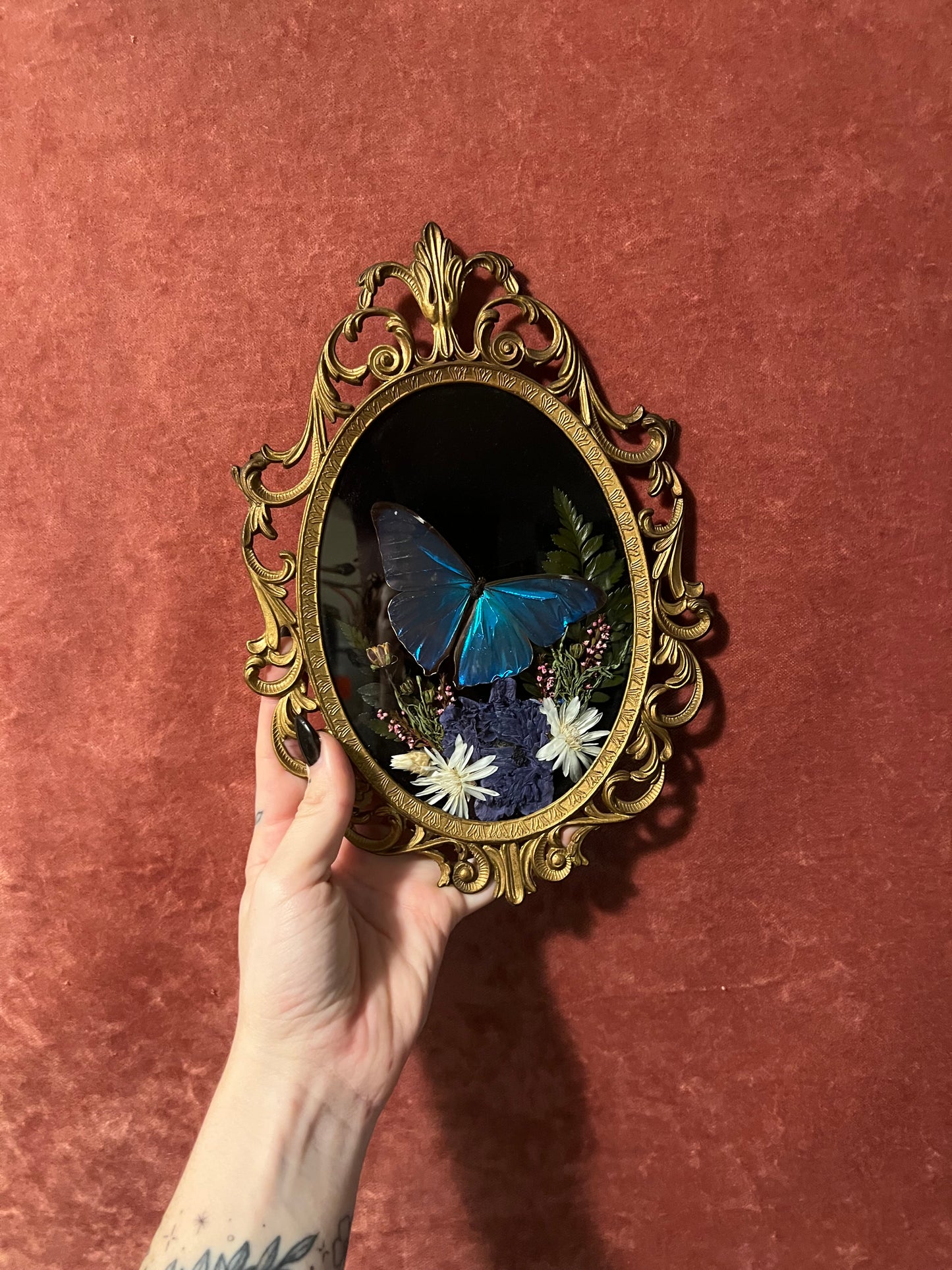 Blue Morpho Small Vintage Frame