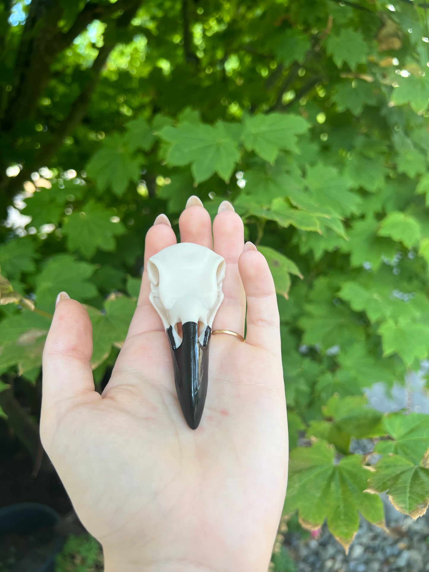 Replica Raven Skull