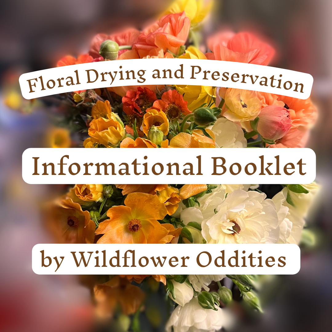 Floral Drying Informational Booklet and Guide