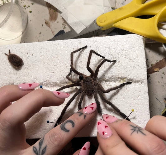 VIDEO TUTORIAL: Tarantula preserving and Pinning on